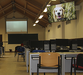 UNIVERSITY REY JUAN CARLOS DE MADRID, ARANJUEZ